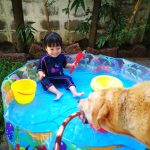 labradorman labradorman